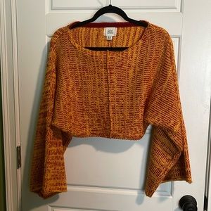 BDG urban outfitters cropped sweater